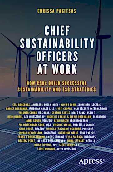 Chief Sustainability Officers At Work: How CSOs Build Successful Sustainability and ESG Strategies