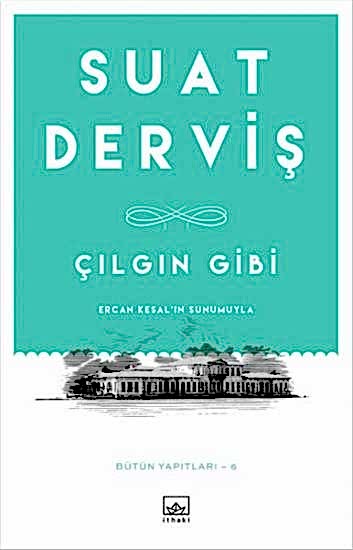 Çılgın Gibi